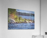 Blue Herons Flight Acrylic Print