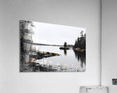 Reflection Acrylic Print