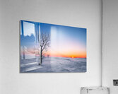Lone Tree at Sunrise Acrylic Print