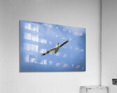 Pelican Impression acrylique