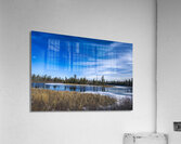 Pine Point Rapids Acrylic Print