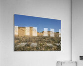 Spruce Woods Acrylic Print