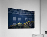 Starry Night Acrylic Print