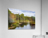 Roseau River Acrylic Print