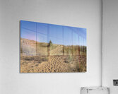 Spruce Woods Acrylic Print