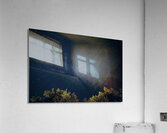 Starry Night Acrylic Print