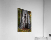 Tree Shelter Acrylic Print