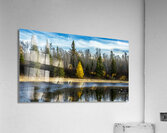 Tamarack Reflection Acrylic Print