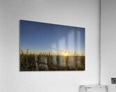 Sunset in the Cornfield Acrylic Print