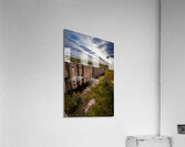 Dam Wall Into the Forest Impression acrylique