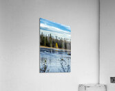 Lone Tamarack Behind the Falls Acrylic Print