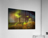 Northern Lights Above the Canopy Acrylic Print