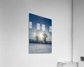 Sundogs Behind Lone Trees Acrylic Print