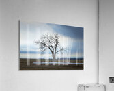 The Last Stand Acrylic Print