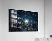 Moon Halo Above the Canopy Acrylic Print