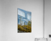 Ice Circles Acrylic Print