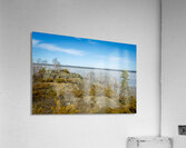 Dragon Fire Trail Acrylic Print