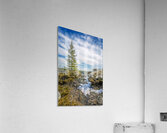 Dragon Fire Trail Acrylic Print