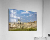 Lone Tree in the Badlands Acrylic Print