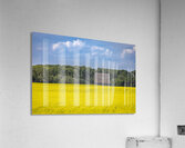 Old Barn and Canola Field Acrylic Print