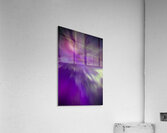 Night Bloom Acrylic Print