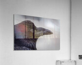 Raven Profile Acrylic Print