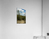 Ancient Beach Trail Acrylic Print