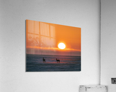 Deer in Sunrise Acrylic Print