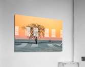 Lone Tree in Pastel Acrylic Print