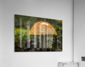 Mushroom after the rain Acrylic Print