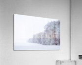 Tree Row in Hoarfrost Acrylic Print