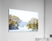 A Path Under the First Snow Acrylic Print