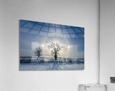 Sundogs Behind Lone Trees Acrylic Print