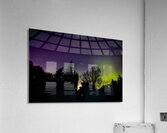 Aurora In the Woods Acrylic Print