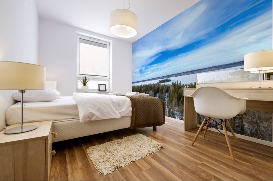 Top of the World in Winter Mural print