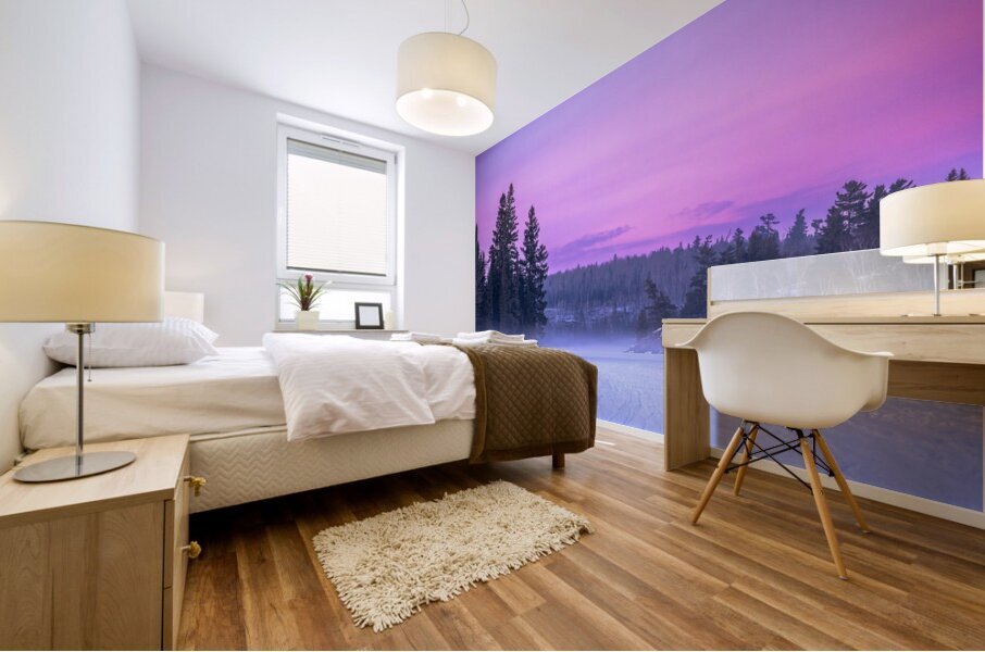 Fog Rising Over Falcon Lake Mural print