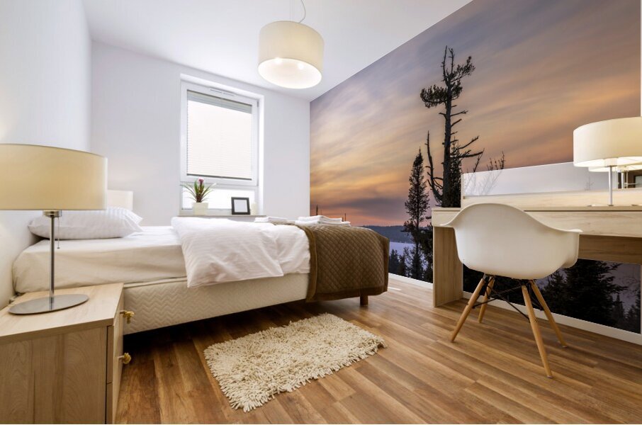 Overlooking Falcon Lake Mural print