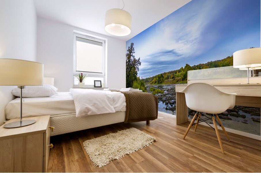 Riverbed Mural print