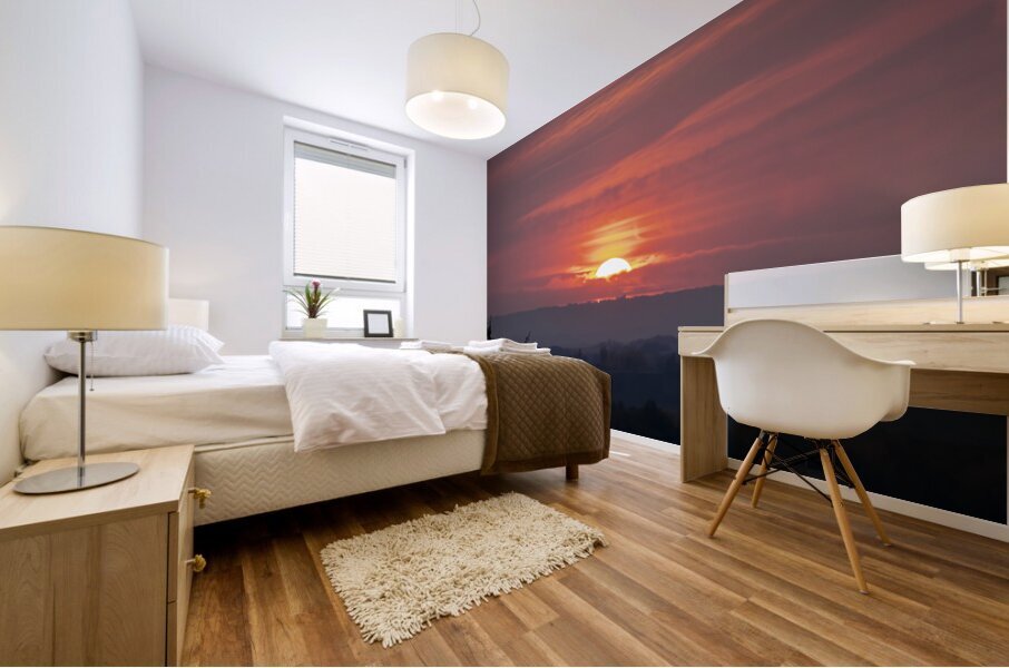 Red Wine Sunset Mural print