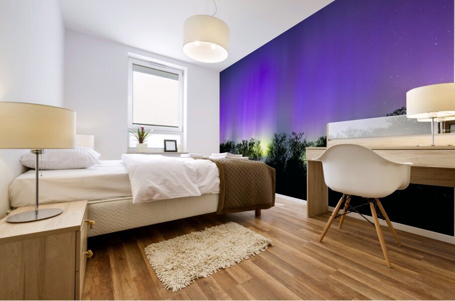 A night of Stars and Auroras Mural print