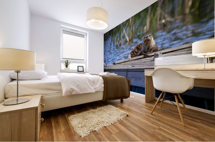 Otter Mural print