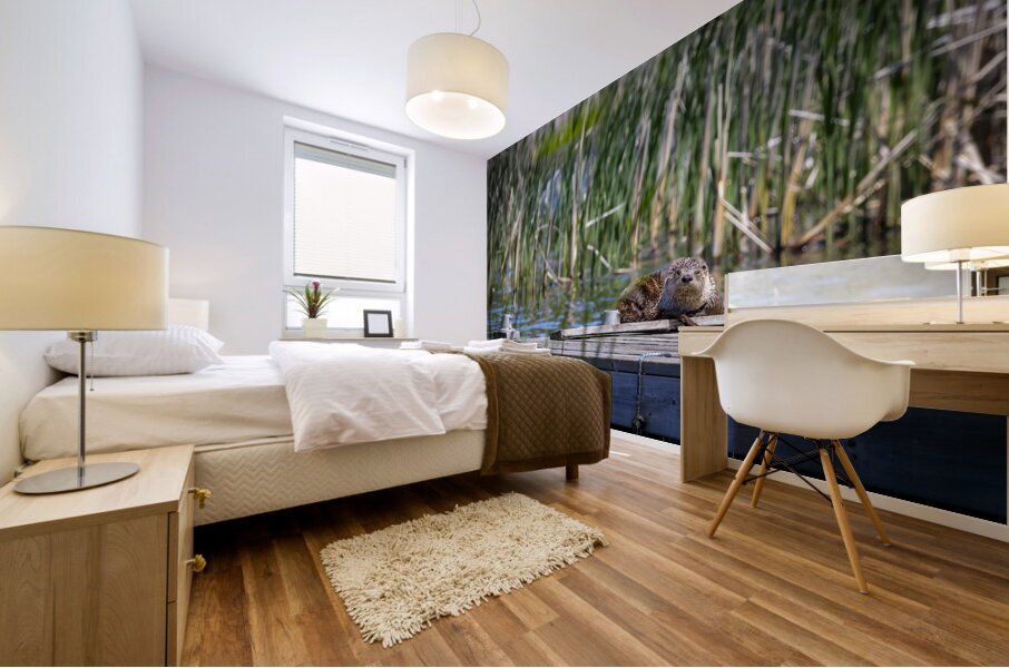 Otter Mural print