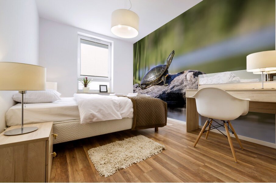 Painted Turtle Mural print