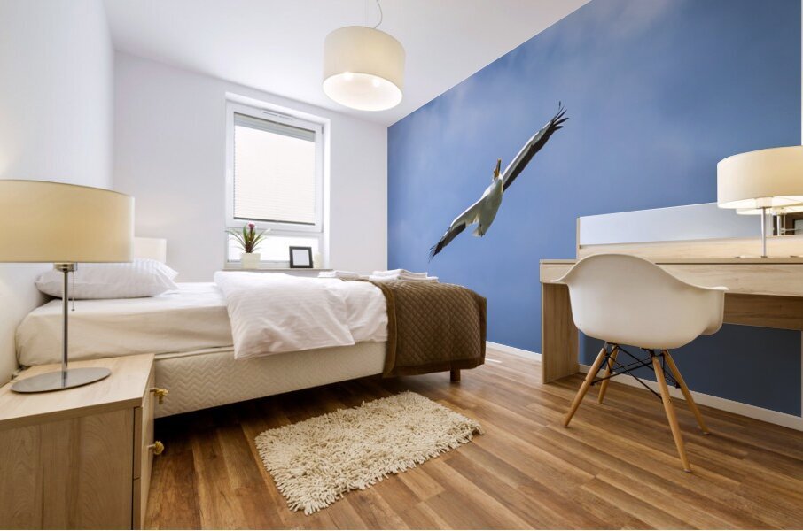 Pelican Impression murale