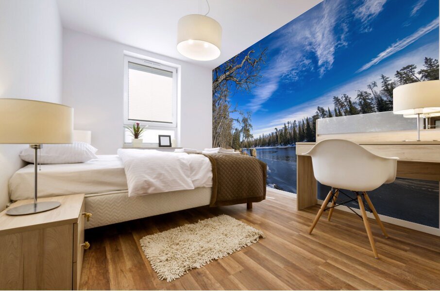 Pine Point Rapids Mural print