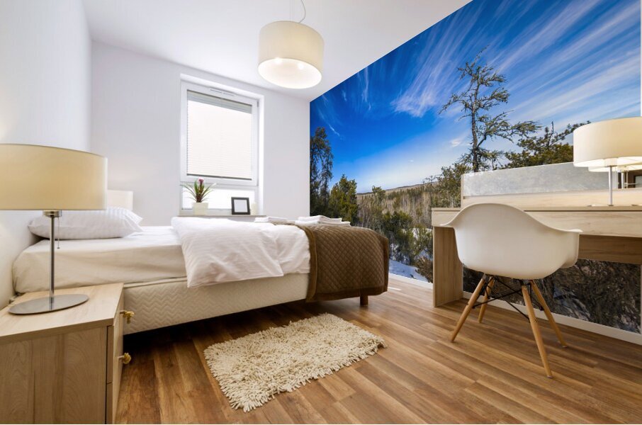 Pine Point Rapids Impression murale