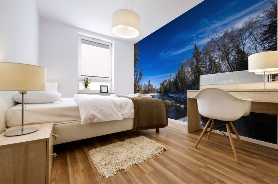 Pine Point Rapids Shelter Mural print