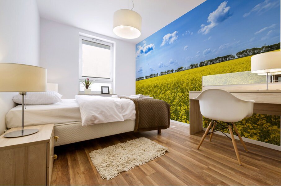 Canola Field Mural print