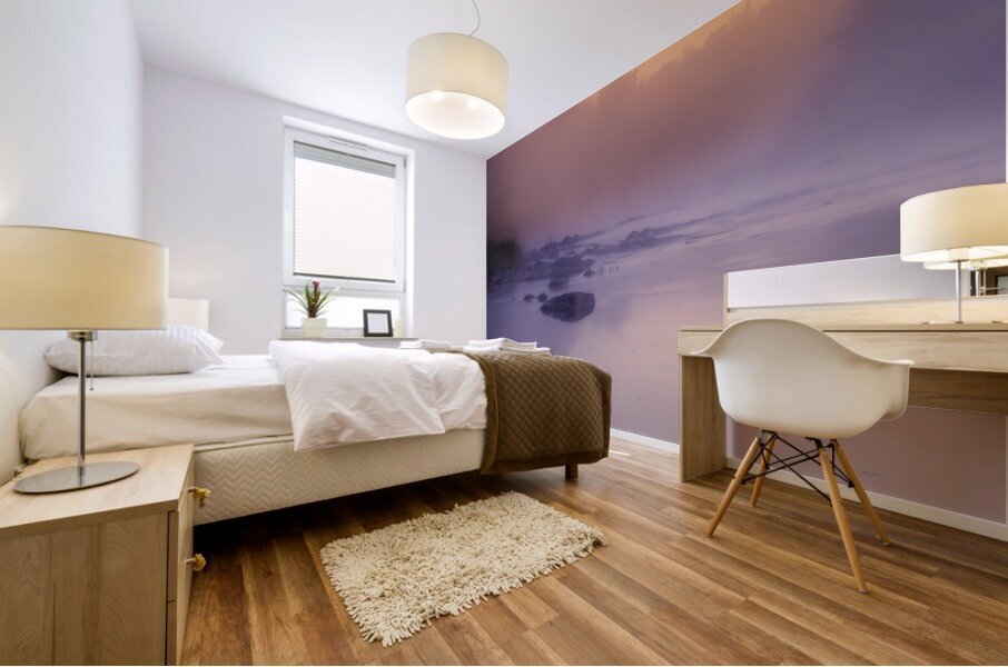 Foggy Sunrise on the Roseau River Mural print