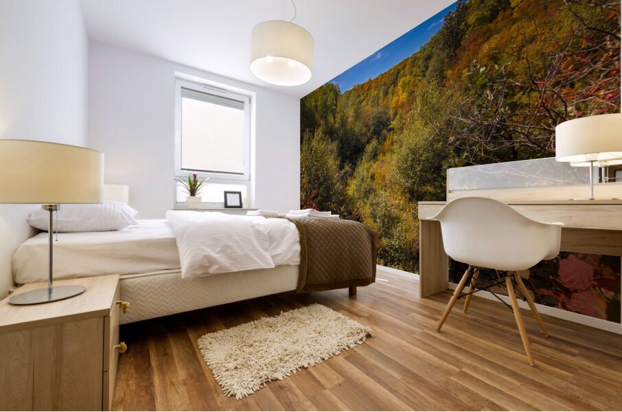 Pembina Valley Impression murale